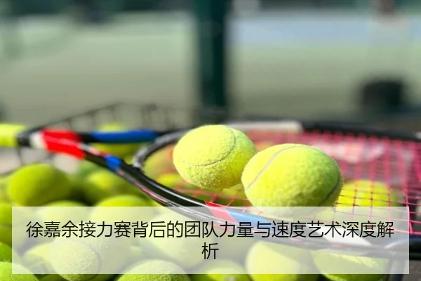 徐嘉余接力赛背后的团队力量与速度艺术深度解析